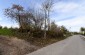 The killing and burial site in Wożuczyn, near the former home of the Jewish Cung family. The Germans killed the family members there, probably in the fall of 1942. The bodies were buried at the site and exhumed after the war. ©Piotr Malec/Yahad - In Unum