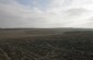 The approximate location of the killing site where five Jews hiding in haystacks were shot by a policeman from Boleshovka. Today, the former ravine has been converted into cultivated farmland. ©Markel Redondo/Yahad – In Unum