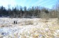 The killing site of 23 Jews of Stakiai, murdered by Lithuanian policemen from Raudonė on August 9, 1941, in a field near the Mituva River. After the war, the bodies were reburied in Jurbarkas. ©Cristian Monterroso/Yahad - In Unum