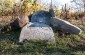 Fragments of original tombstones preserved in the Jewish cemetery in Sławatycze. During the war, the Germans destroyed the cemetery and used most of the tombstones to pave the town’s sidewalks. ©Les Kasyanov/Yahad - In Unum