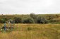 The killing site near the Orthodox cemetery in Novolikarske, where numerous Jews from Odesa, adults and children, were shot and buried. No memorial marks the site. ©Les Kasyanov/Yahad - In Unum