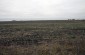 The killing site in the clay pit in Kutuzivka where approximately 300 Jews deported from Odesa were shot and burned in winter 1941-42 by the local German colonists. ©Markel Redondo/Yahad - In Unum