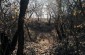The killing site at the former airfield, where at least 200 Jews, both local residents and deportees, were shot and their bodies burned. Today, the site is an unmarked field. ©Markel Redondo/Yahad - In Unum
