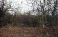 The burial site in the anti-tank ditch near Voronivka, where approximately 20 Jews who died from exhaustion and exposure to the cold during the march were buried and their bodies burned. ©Markel Redondo/Yahad - In Unum