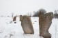 The remaining tombstones at the Jewish cemetery in Ozeriany. ©Les Kasyanov/Yahad - In Unum