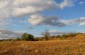 The killing site where over 650 Jews from Odesa and Western Ukraine were shot by German colonists from Tartakai. The victims were shot in an anti-tank ditch located on on the outskirts of Huliaivka. ©Les Kasyanov/Yahad - In Unum