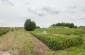 The execution site in a field near to the railway in Klementowice, where the Germans killed 350 Jews deported from the Warsaw ghetto in June 1942.  ©Aleksey Kasyanov/Yahad - In Unum