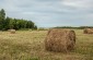 Rural ambiance. ©Les Kasyanov/Yahad - In Unum