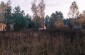 The killing site at the former estate of Urszulin/Dębowiec. On May 26, 1943, the Germans shot a group of Jews working at estate and those who hid in the attic of one of the domain buildings. ©Les Kasyanov/Yahad - In Unum