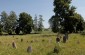 The Jewish cemetery of Pušalotas. ©Markel Redondo/Yahad - In Unum