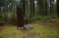 The execution site in the Steponiai forest near Rokiškis, where 981 Jews, Lithuanians and Russians, considered loyal to the Soviet regime, were murdered by the Rokiškis White Armbanders from June 27 to August 14, 1941. ©Cristian Monterroso/Yahad - In Unum