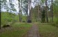The killing site in the Greivas Forest where, on July 26 and 27, 1941, 170 Jews and 8 to 12 Soviet activists were murdered by German forces and members of the local Self-Defense squad. ©Marija Sbrina/Yahad - In Unum
