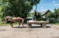 A horse cart typical of the region. ©Les Kasyanov/Yahad - In Unum