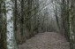 Execution site N°2, located near the Smilga River, on the former aerodrome territory. 2,076 Jews of Kėdainiai and nearby villages were killed here on August 28, 1941, by the Einsatzkommando 3 and local Lithuanians. ©Cristian Monterroso/Yahad - In Unum