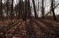 The killing and burial site at the Jewish cemetery of Kraśniczyn, where over 200 Jews were shot by the Germans in 1942 and 1943.  ©Jethro Massey/Yahad - In Unum