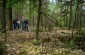 Władysław brought the Yahad-In Unum team to the forest near Miedzna to show them the underground hideout where a group of hiding Jews was killed by the Germans. ©Kate Kornberg/Yahad – In Unum