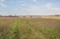 A panorama view of the mass grave located in the field with no memorial. ©Les Kasyanov/Yahad - In Unum